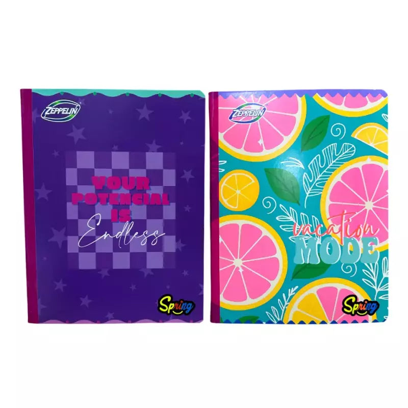Cuaderno Cosido Zeppelin Spring 100h | CD 010008