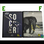Cuaderno Cosido Zeppelin Spring 100h | CD 010008