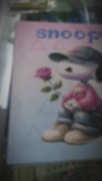 Folder estampado Snoopy |